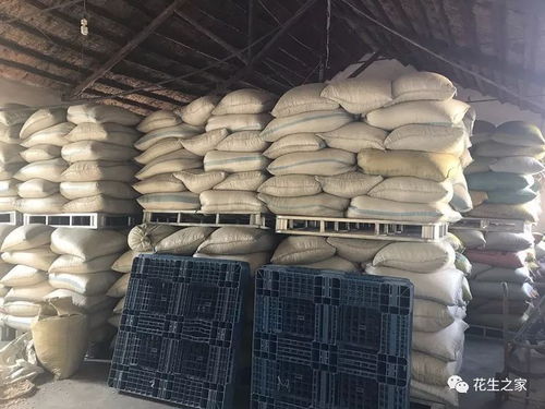 超級供應商推薦 山東省即墨市洋州花生加工廠